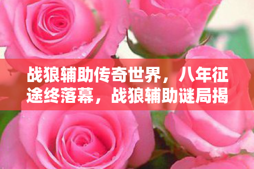 战狼辅助传奇世界,八年征途终落幕,战狼辅助谜局揭晓竟成泪目绝响 战狼辅助传奇世界,八年征途终落幕,战狼辅助谜局揭晓竟成泪目绝响