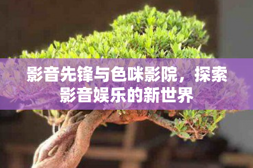 影音先锋与色咪影院,探索影音娱乐的新世界 影音先锋与色咪影院,探索影音娱乐的新世界