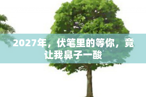 2027年,伏笔里的等你,竟让我鼻子一酸 2027年,伏笔里的等你,竟让我鼻子一酸