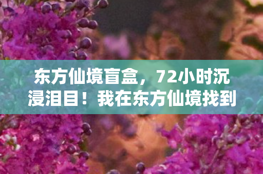 东方仙境盲盒,72小时沉浸泪目!我在东方仙境找到了灵魂栖息地 东方仙境盲盒,72小时沉浸泪目!我在东方仙境找到了灵魂栖息地