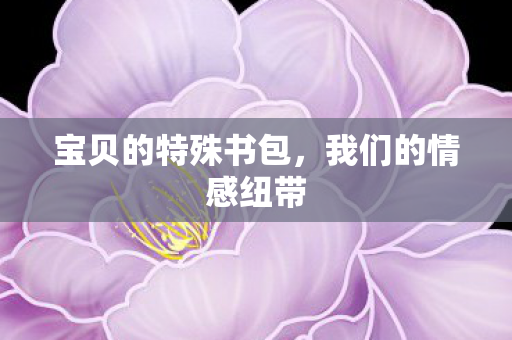 宝贝的特殊书包，我们的情感纽带