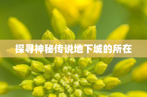 探寻神秘传说地下城的所在 探寻神秘传说地下城的所在