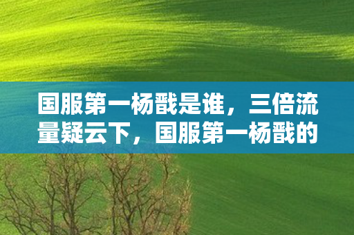 国服第一杨戬是谁,三倍流量疑云下,国服第一杨戬的陨落,谁让玩家心寒至此? 国服第一杨戬是谁,三倍流量疑云下,国服第一杨戬的陨落,谁让玩家心寒至此?