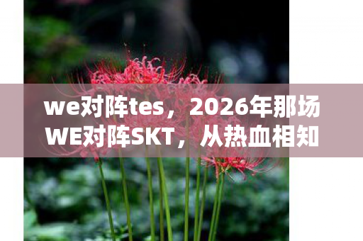 we对阵tes,2026年那场WE对阵SKT,从热血相知到渐行渐远,鼻子一酸忆当年 we对阵tes,2026年那场WE对阵SKT,从热血相知到渐行渐远,鼻子一酸忆当年