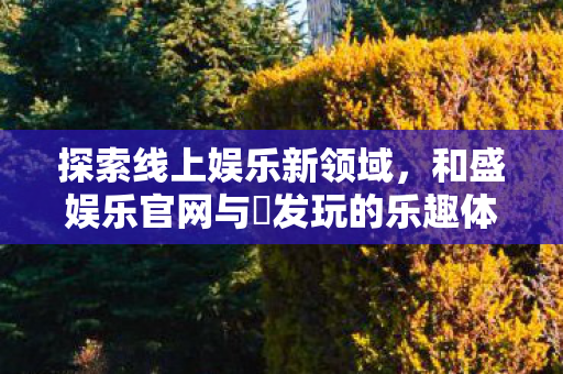 探索线上娱乐新领域，和盛娱乐官网与浤发玩的乐趣体验