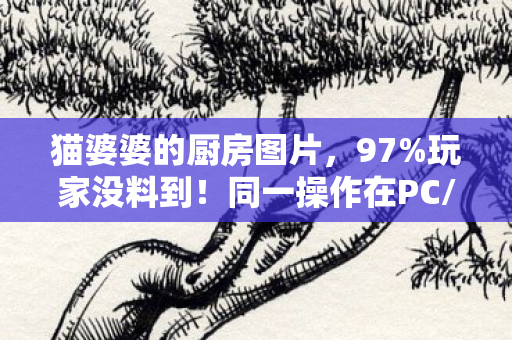 猫婆婆的厨房图片,97%玩家没料到!同一操作在PC/主机/手游竟差出300%体验值 猫婆婆的厨房图片,97%玩家没料到!同一操作在PC/主机/手游竟差出300%体验值