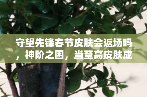守望先锋春节皮肤会返场吗,神阶之困,当至高皮肤成为囚笼,自由意志在数据洪流中震颤 守望先锋春节皮肤会返场吗,神阶之困,当至高皮肤成为囚笼,自由意志在数据洪流中震颤