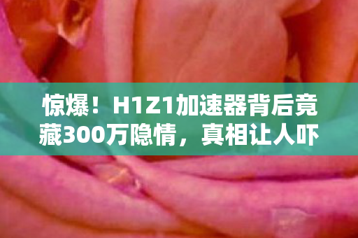 惊爆!H1Z1加速器背后竟藏300万隐情,真相让人吓一跳! 惊爆!H1Z1加速器背后竟藏300万隐情,真相让人吓一跳!