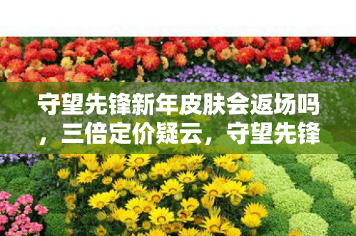 守望先锋新年皮肤会返场吗,三倍定价疑云,守望先锋新年皮肤背后的资本寒流与玩家心寒 守望先锋新年皮肤会返场吗,三倍定价疑云,守望先锋新年皮肤背后的资本寒流与玩家心寒