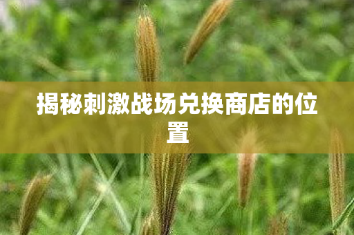 揭秘刺激战场兑换商店的位置 揭秘刺激战场兑换商店的位置