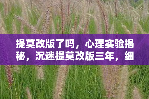 提莫改版了吗,心理实验揭秘,沉迷提莫改版三年,细思极恐的自我囚禁 提莫改版了吗,心理实验揭秘,沉迷提莫改版三年,细思极恐的自我囚禁