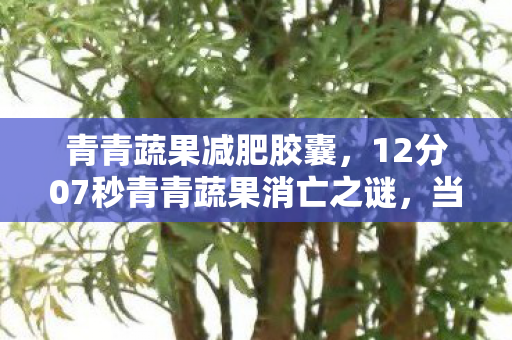 青青蔬果减肥胶囊,12分07秒青青蔬果消亡之谜,当像素田埂化作数据尘埃 青青蔬果减肥胶囊,12分07秒青青蔬果消亡之谜,当像素田埂化作数据尘埃