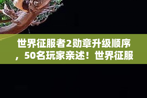 世界征服者2勋章升级顺序,50名玩家亲述!世界征服者2勋章暗藏玄机?网吧大神听完直接绷不住 世界征服者2勋章升级顺序,50名玩家亲述!世界征服者2勋章暗藏玄机?网吧大神听完直接绷不住