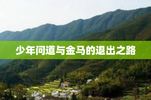 少年问道与金马的退出之路