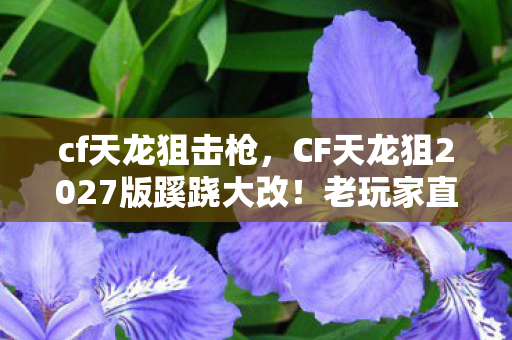 cf天龙狙击枪,CF天龙狙2027版蹊跷大改!老玩家直呼这还是我认识的它? cf天龙狙击枪,CF天龙狙2027版蹊跷大改!老玩家直呼这还是我认识的它?