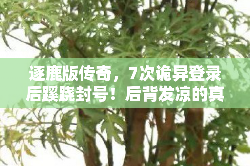 逐鹿版传奇,7次诡异登录后蹊跷封号!后背发凉的真相竟在屏幕之外 逐鹿版传奇,7次诡异登录后蹊跷封号!后背发凉的真相竟在屏幕之外