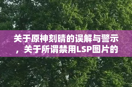 关于原神刻晴的误解与警示，关于所谓禁用LSP图片的探讨