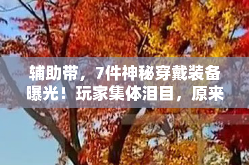 辅助带,7件神秘穿戴装备曝光!玩家集体泪目,原来我们被瞒了这么久 辅助带,7件神秘穿戴装备曝光!玩家集体泪目,原来我们被瞒了这么久
