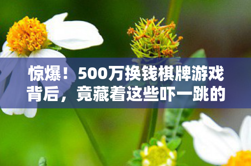 惊爆!500万换钱棋牌游戏背后,竟藏着这些吓一跳的隐情! 惊爆!500万换钱棋牌游戏背后,竟藏着这些吓一跳的隐情!