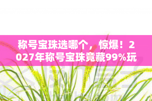 称号宝珠选哪个,惊爆!2027年称号宝珠竟藏99%玩家不知的逆天属性! 称号宝珠选哪个,惊爆!2027年称号宝珠竟藏99%玩家不知的逆天属性!