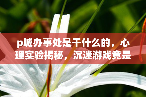 p城办事处是干什么的,心理实验揭秘,沉迷游戏竟是大脑被多巴胺手术?细思极恐! p城办事处是干什么的,心理实验揭秘,沉迷游戏竟是大脑被多巴胺手术?细思极恐!