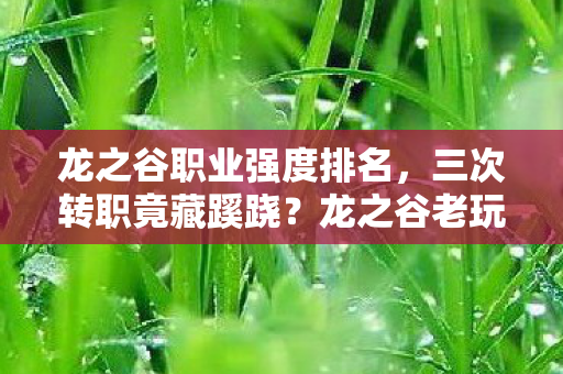 龙之谷职业强度排名,三次转职竟藏蹊跷?龙之谷老玩家后背发凉的真相! 龙之谷职业强度排名,三次转职竟藏蹊跷?龙之谷老玩家后背发凉的真相!