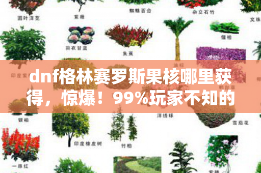 dnf格林赛罗斯果核哪里获得,惊爆!99%玩家不知的格林赛罗斯果核隐藏暴富密码? dnf格林赛罗斯果核哪里获得,惊爆!99%玩家不知的格林赛罗斯果核隐藏暴富密码?