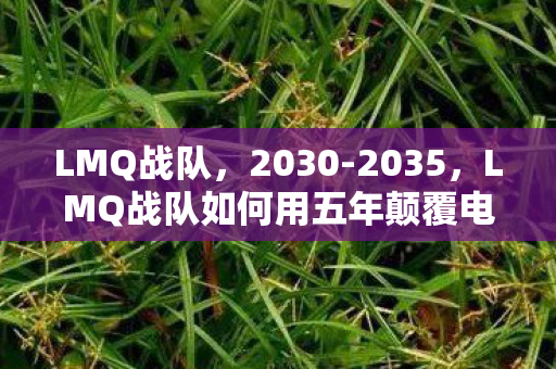 LMQ战队,2030-2035,LMQ战队如何用五年颠覆电竞史?真相让人战栗! LMQ战队,2030-2035,LMQ战队如何用五年颠覆电竞史?真相让人战栗!