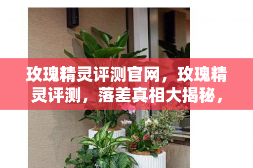 玫瑰精灵评测官网,玫瑰精灵评测,落差真相大揭秘,笑着笑着就哭了! 玫瑰精灵评测官网,玫瑰精灵评测,落差真相大揭秘,笑着笑着就哭了!