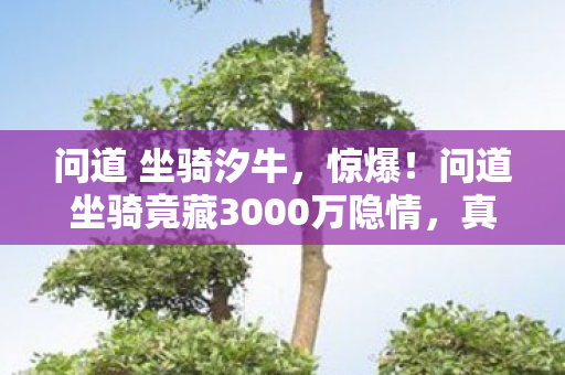 问道 坐骑汐牛,惊爆!问道坐骑竟藏3000万隐情,真相让人吓一跳! 问道 坐骑汐牛,惊爆!问道坐骑竟藏3000万隐情,真相让人吓一跳!