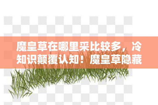 魔皇草在哪里采比较多,冷知识颠覆认知!魔皇草隐藏刷新点竟让十年老玩家目瞪口呆 魔皇草在哪里采比较多,冷知识颠覆认知!魔皇草隐藏刷新点竟让十年老玩家目瞪口呆