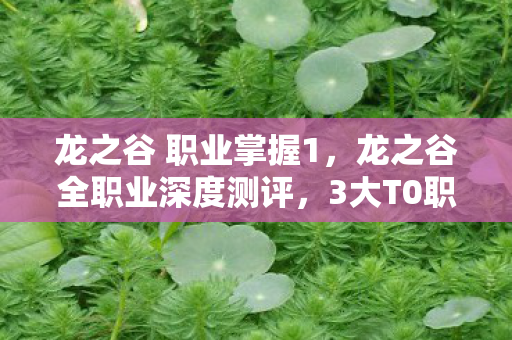 龙之谷 职业掌握1,龙之谷全职业深度测评,3大T0职业心得+新手避坑指南 龙之谷 职业掌握1,龙之谷全职业深度测评,3大T0职业心得+新手避坑指南