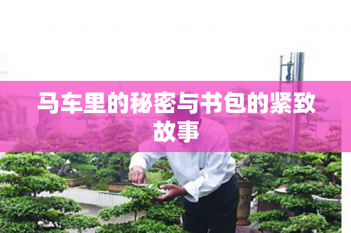 马车里的秘密与书包的紧致故事
