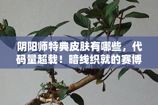 阴阳师特典皮肤有哪些,代码量超载!暗线织就的赛博囚笼,头皮发麻的式神叛乱 阴阳师特典皮肤有哪些,代码量超载!暗线织就的赛博囚笼,头皮发麻的式神叛乱