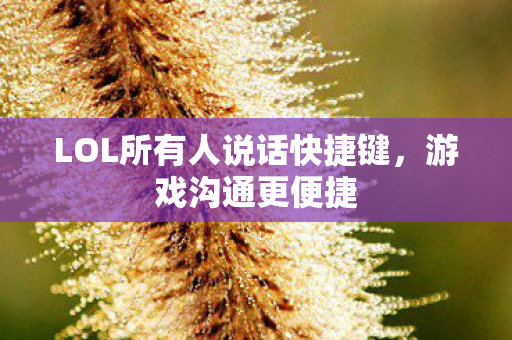 LOL所有人说话快捷键，游戏沟通更便捷