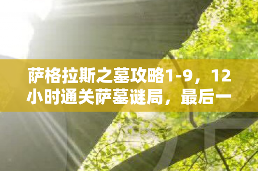 萨格拉斯之墓攻略1-9,12小时通关萨墓谜局,最后一刻泪目,八年青春竟成数据残渣 萨格拉斯之墓攻略1-9,12小时通关萨墓谜局,最后一刻泪目,八年青春竟成数据残渣