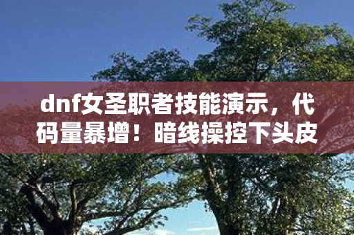dnf女圣职者技能演示,代码量暴增!暗线操控下头皮发麻的DNF女圣职者加点革命 dnf女圣职者技能演示,代码量暴增!暗线操控下头皮发麻的DNF女圣职者加点革命