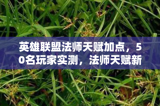 英雄联盟法师天赋加点,50名玩家实测,法师天赋新改动是神来之笔还是策划绷不住的昏招? 英雄联盟法师天赋加点,50名玩家实测,法师天赋新改动是神来之笔还是策划绷不住的昏招?