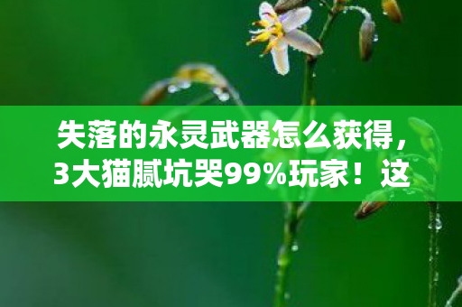 失落的永灵武器怎么获得,3大猫腻坑哭99%玩家!这破武器系统让我氪到上头又下头 失落的永灵武器怎么获得,3大猫腻坑哭99%玩家!这破武器系统让我氪到上头又下头