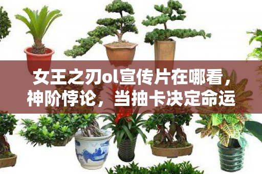 女王之刃ol宣传片在哪看,神阶悖论,当抽卡决定命运时,自由意志竟在深渊中狂笑? 女王之刃ol宣传片在哪看,神阶悖论,当抽卡决定命运时,自由意志竟在深渊中狂笑?