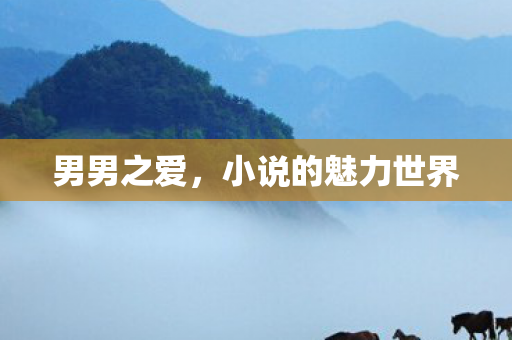 男男之爱,小说的魅力世界 男男之爱,小说的魅力世界