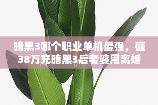暗黑3哪个职业单机最强,砸38万充暗黑3后老婆甩离婚协议!单刷王者的代价让我吓破胆 暗黑3哪个职业单机最强,砸38万充暗黑3后老婆甩离婚协议!单刷王者的代价让我吓破胆
