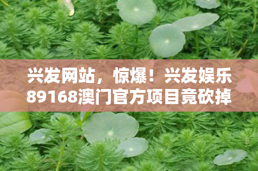 兴发网站,惊爆!兴发娱乐89168澳门官方项目竟砍掉3000万玩法,背后隐情吓一跳! 兴发网站,惊爆!兴发娱乐89168澳门官方项目竟砍掉3000万玩法,背后隐情吓一跳!