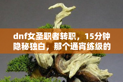 dnf女圣职者转职,15分钟隐秘独白,那个通宵练级的女圣职,如今哽咽着说再见 dnf女圣职者转职,15分钟隐秘独白,那个通宵练级的女圣职,如今哽咽着说再见