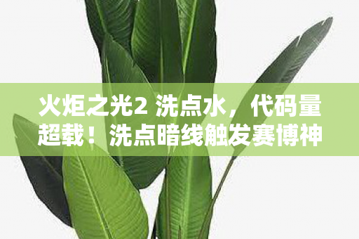 火炬之光2 洗点水,代码量超载!洗点暗线触发赛博神经震颤,头皮发麻的技能重构革命 火炬之光2 洗点水,代码量超载!洗点暗线触发赛博神经震颤,头皮发麻的技能重构革命