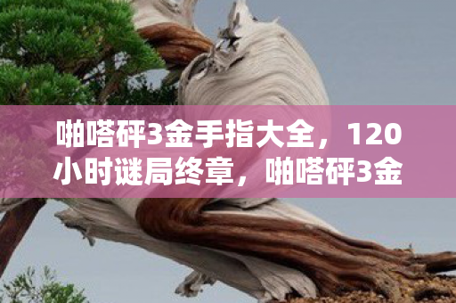 啪嗒砰3金手指大全,120小时谜局终章,啪嗒砰3金手指背后,那些被数据碾碎的泪目真相 啪嗒砰3金手指大全,120小时谜局终章,啪嗒砰3金手指背后,那些被数据碾碎的泪目真相