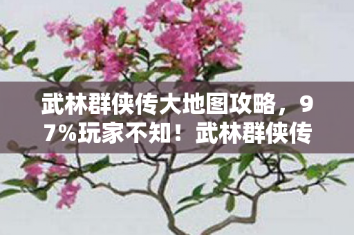 武林群侠传大地图攻略,97%玩家不知!武林群侠传大地图竟在主机端水土不服? 武林群侠传大地图攻略,97%玩家不知!武林群侠传大地图竟在主机端水土不服?