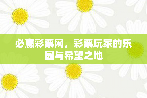 必赢彩票网，彩票玩家的乐园与希望之地