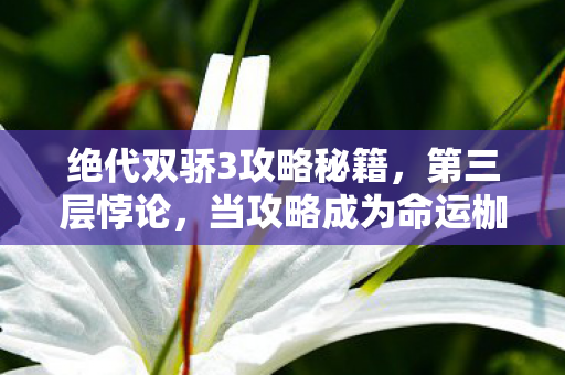 绝代双骄3攻略秘籍,第三层悖论,当攻略成为命运枷锁,你的选择是自由还是宿命轮回? 绝代双骄3攻略秘籍,第三层悖论,当攻略成为命运枷锁,你的选择是自由还是宿命轮回?