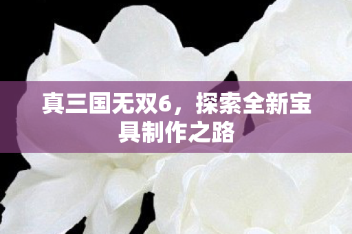真三国无双6，探索全新宝具制作之路
